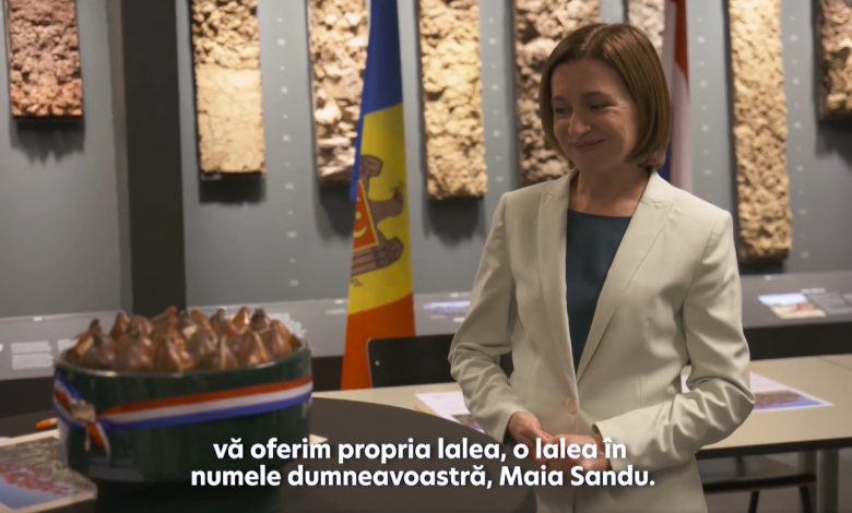 Photo of Un nou soi de lalele olandeze va purta numele președintei Republicii Moldova, Maia Sandu