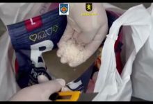 Photo of video | Droguri de 8.000.000 lei din Odesa, găsite la Gara de Nord, în pachete cu hrană pentru câini: Patru bărbați, reținuți