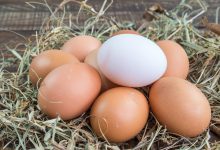 Photo of Mai multe loturi de ouă de găină, retrase de pe rafturile magazinelor. ANSA: „Nu le admiteți în alimentație”
