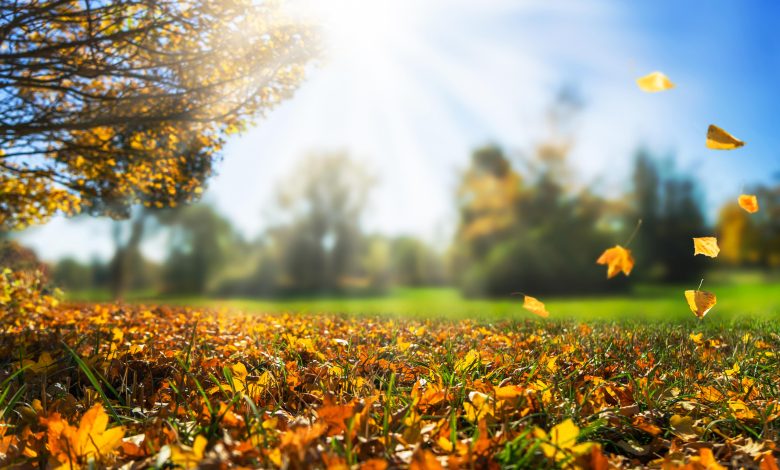 Photo of Anul 2023 ar putea fi considerat cel mai călduros. Cauza temperaturilor ridicate din ultima perioadă