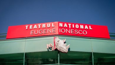 Photo of Premieră la „Eugene Ionesco” – „Pescărușul” de A.P. Cehov. Ce piese se vor mai juca în acest weekend