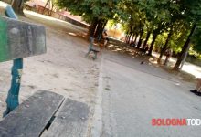 Photo of Un moldovean de 51 de ani a fost găsit mort într-un parc din Italia