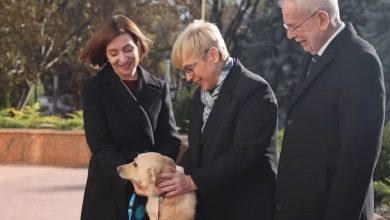 Photo of video | Codruț, câinele de la Președinție, l-a mușcat de mână pe președintele Austriei