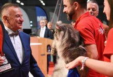Photo of foto | Un motan din România a câștigat titlul de World Winner 2023