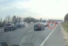 Photo of video | Un câine care traversa strada a fost cauza unui accident în lanț: Două persoane, spitalizate