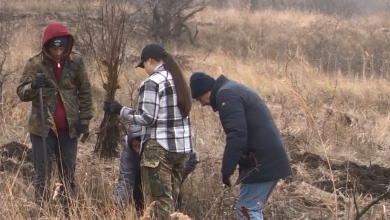 Photo of video | Elevii de la Colegiul de Ecologie au plantat mii de Stejari și Paltini: „Contribuim la înverzirea spațiilor neîmpădurite a Moldovei”