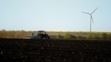 Photo of Transformarea raionului Edineț cu ajutorul investițiilor europene: Istoria unui agricultor de la nordul Moldovei