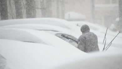 Photo of Decizii CSE Chișinău: Școlile și grădinițele, închise până joi. Se sistează temporar circulația transportului public