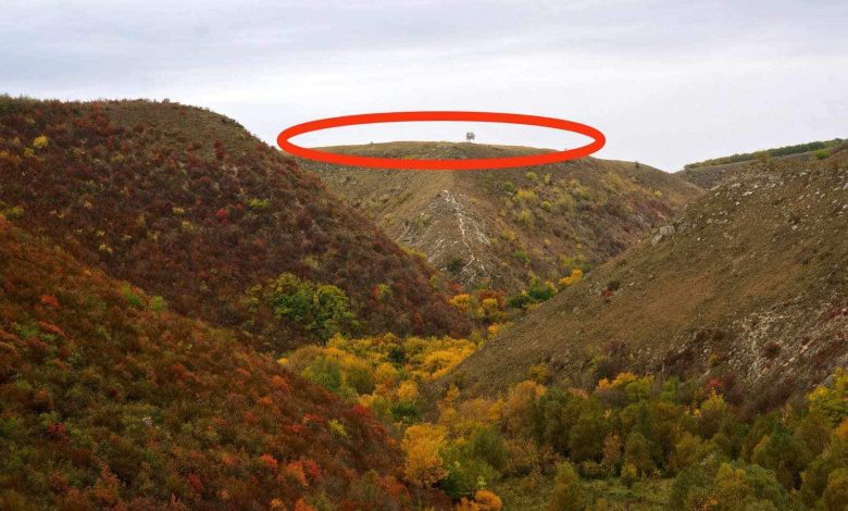 Photo of Încercare ilegală de construcție în rezervația Țîpova? Autoritățile au sistat lucrările