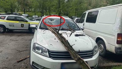 Photo of foto | Vântul a făcut ravagii în capitală: Crengi și copaci rupți, căzuți peste mașinile parcate