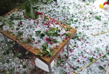 Photo of video, foto | Ploaia cu grindină a făcut ravagii la Nisporeni și Orhei