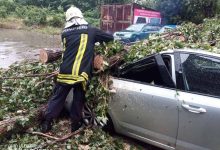 Photo of foto | Furtună violentă: Un bărbat a ajuns la spital, iar o femeie a fost scoasă de salvatori din mașina peste care a căzut un arbore