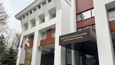 Photo of Prima reacție a MAE după ce fosta ambasadoare în India a anunțat că a dat instituția în judecată