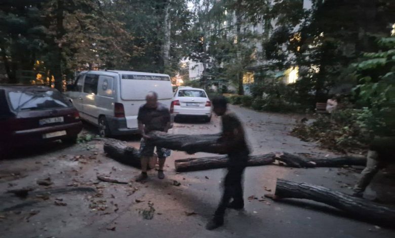 Photo of foto | Vântul puternic a pus la pământ mai mulți copaci în capitală. Serviciile municipale au intervenit în teren