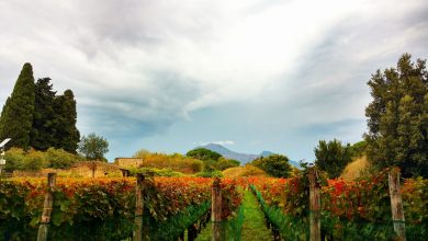 Photo of Republica Moldova, pe locul doi în topul celor mai bune țări pentru turismul vinicol