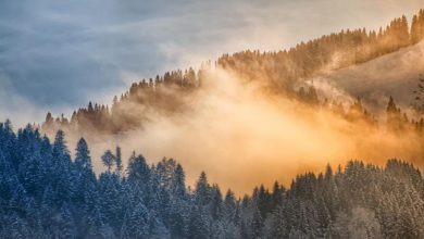 Photo of Agenția de Mediu, despre calitatea aerului în noiembrie: factori meteo și recomandări pentru populație