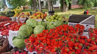 Photo of Târguri cu produse autohtone în sectoarele capitalei, în acest weekend