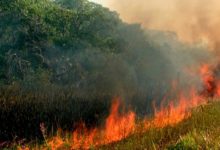 Photo of Avertizare meteo: Cod galben de pericol de incendiu în toată țara