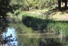 Photo of Râul Bâc aproape secat. Avertismentul și recomandările experților