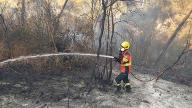 Photo of video | Pompierii moldoveni pleacă și în acest an în Grecia pentru a ajuta la stingerea incendiilor