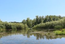 Photo of foto | Trei persoane, printre care doi minori, și-au pierdut viața în bazine acvatice din țară