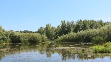 Photo of foto | Trei persoane, printre care doi minori, și-au pierdut viața în bazine acvatice din țară