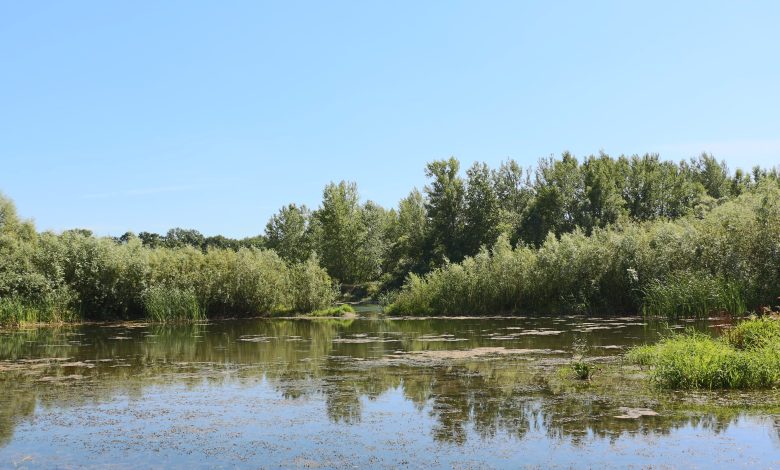 Photo of foto | Trei persoane, printre care doi minori, și-au pierdut viața în bazine acvatice din țară