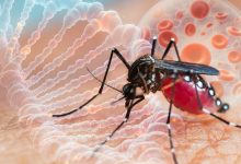 Photo of China are o nouă epidemie, provocată de virusul „chikungunya”