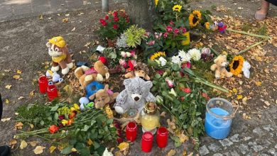 Photo of Un copil de doi ani din R. Moldova, ucis pe o trecere de pietoni în Germania. Mama sa, grav rănită