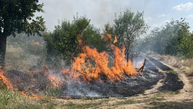 Photo of Aproape 300 de persoane, amendate după ce au fost prinse că au dat foc vegetației uscate