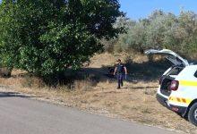 Photo of Accident tragic la Hîncești: Un minor a murit după ce a intrat cu motocicleta fratelui într-un copac