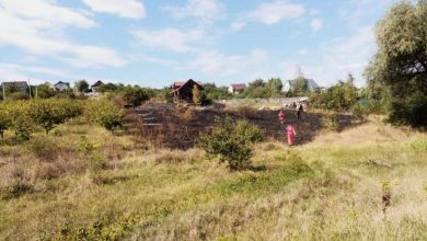 Photo of Incendiu de vegetație la Dănceni: O femeie a murit după ce a încercat să stingă focul singură