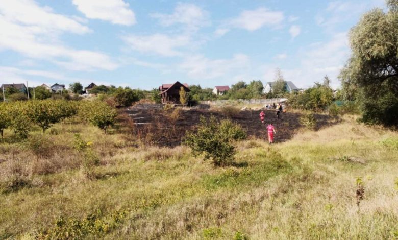 Photo of Incendiu de vegetație la Dănceni: O femeie a murit după ce a încercat să stingă focul singură