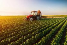 Photo of Italia va sprijini modernizarea agriculturii din R. Moldova cu 4 milioane de euro