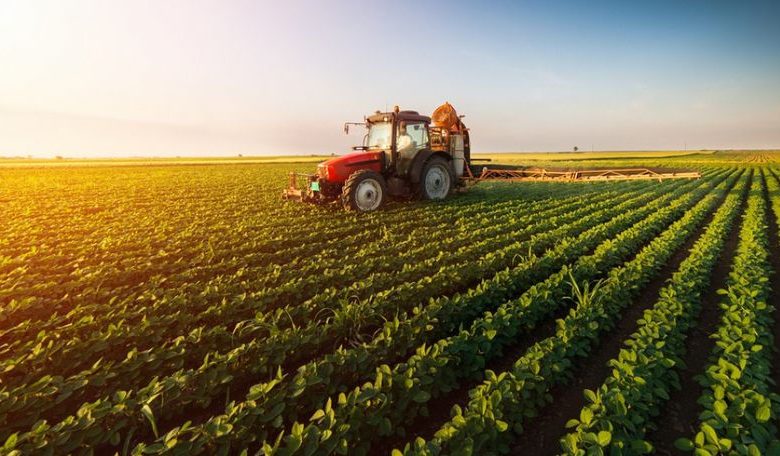 Photo of Italia va sprijini modernizarea agriculturii din R. Moldova cu 4 milioane de euro