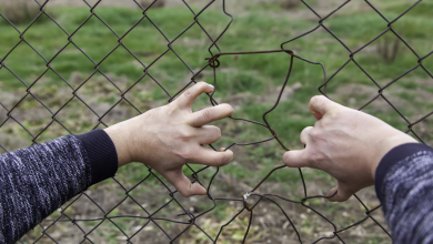 Photo of Trei persoane, în judecată pentru organizarea migrației ilegale în Italia