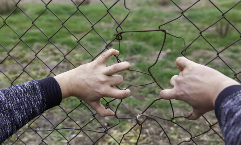 Photo of Trei persoane, în judecată pentru organizarea migrației ilegale în Italia