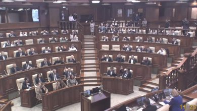 Photo of Doina Gherman și Vlad Batrîncea, realeși în funcția de vicepreședinți ai Parlamentului