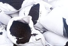 Photo of Peste o tonă de ceai negru din import, distrusă din cauza pesticidelor