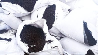 Photo of Peste o tonă de ceai negru din import, distrusă din cauza pesticidelor