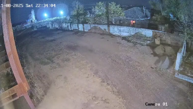 Photo of video | „O intimidare”. Primarul orașului Leova a sesizat poliția după ce a auzit focuri de armă. Polițiștii au o altă versiune