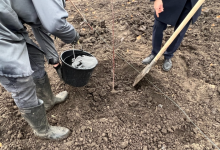 Photo of Să împădurim Republica Moldova! Participă și tu la Marea Plantare Națională