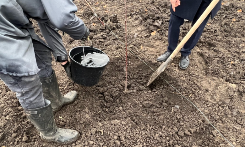 Photo of Să împădurim Republica Moldova! Participă și tu la Marea Plantare Națională