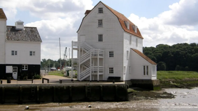 Photo of Un sat cu doar 300 de locuitori a reușit să atragă mai multe vedete și să organizeze un campionat mondial