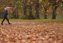 Photo of Noiembrie va aduce temperaturi peste medie, anunță meteorologii