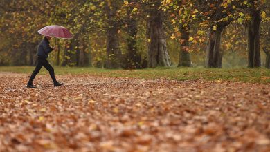 Photo of Noiembrie va aduce temperaturi peste medie, anunță meteorologii