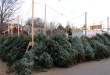 Photo of Unde pot fi cumpărați brazi în Chișinău: lista completă a punctelor autorizate