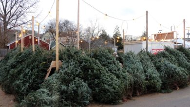 Photo of Unde pot fi cumpărați brazi în Chișinău: lista completă a punctelor autorizate