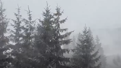 Photo of video | Patru moldoveni au rămas blocați în Munții Făgăraș. Intervenția salvatorilor, amânată din cauza vremii