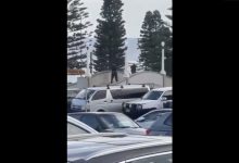 Photo of video | Atac armat pe o plajă celebră din Sydney: cel puțin 16 morți. Maia Sandu a transmis un mesaj